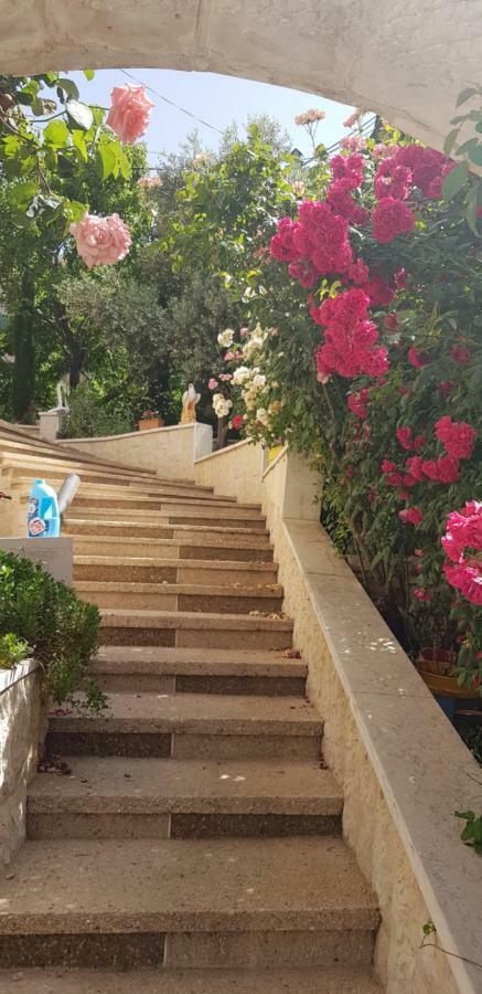 Hermon Accommodation Majdal Shams Luaran gambar